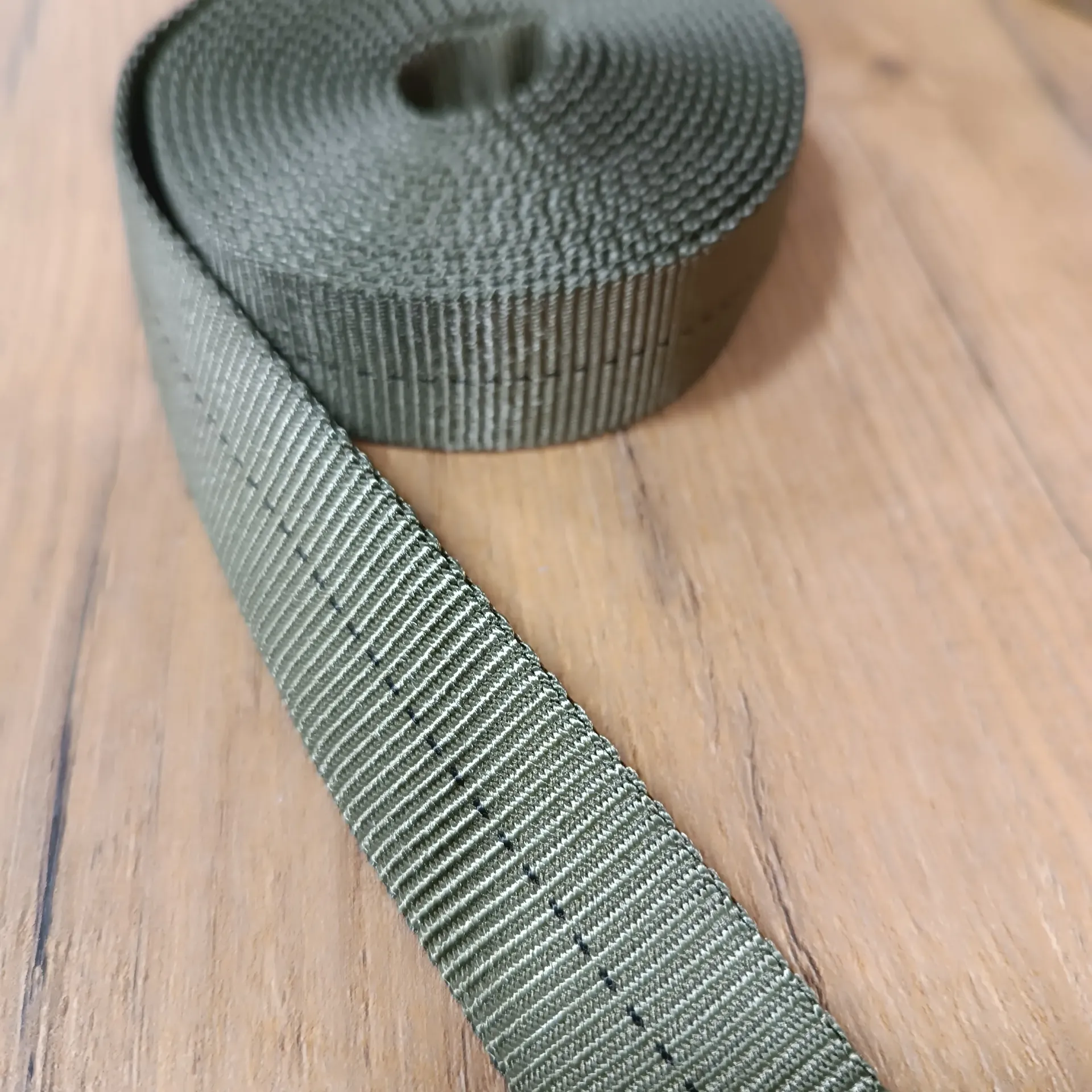 Nylon Tubular Gurtband Olive Drab 25 mm – Meterware